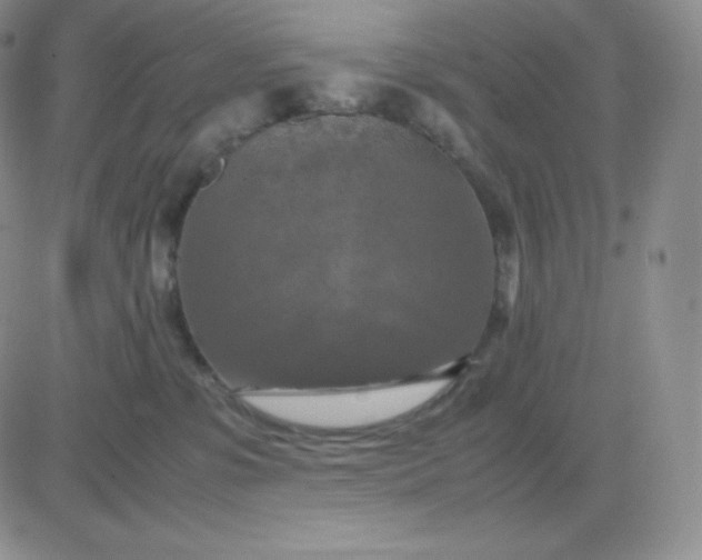 X0000081310331200701251749