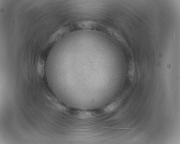 X0000081310332200701251749