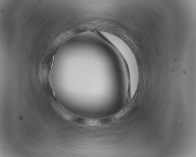 X0000081310333200701251749