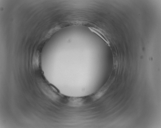 X0000081310334200701251749