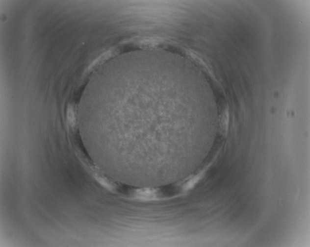 X0000081310335200701251749