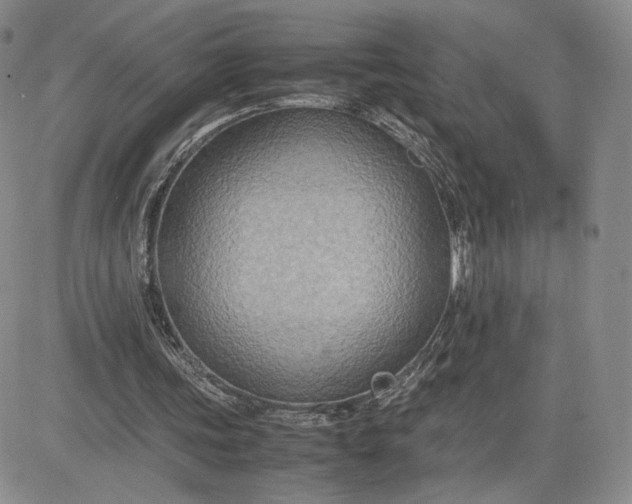 X0000081310339200701251748