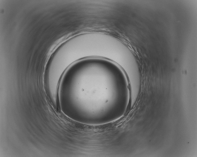 X0000081310340200701251748