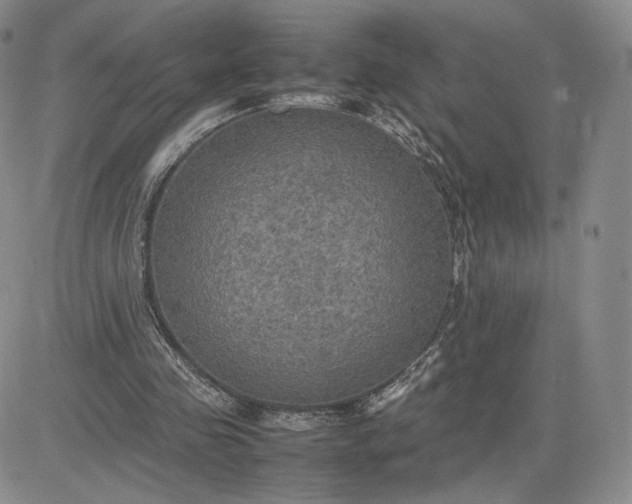 X0000081310341200701251748