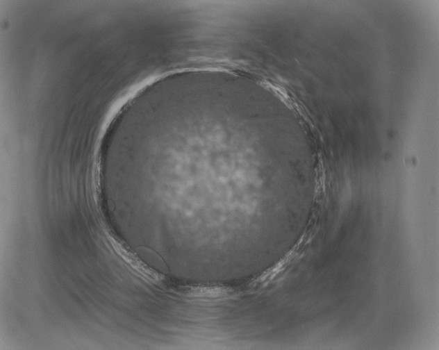 X0000081310342200701251748