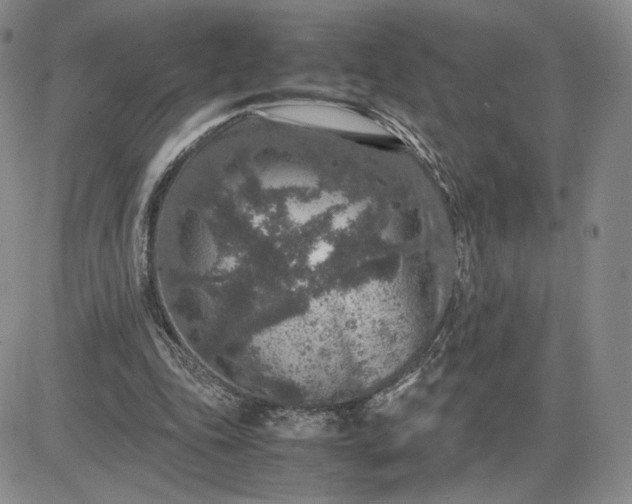 X0000081310343200701251748