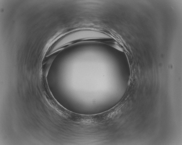 X0000081310344200701251748