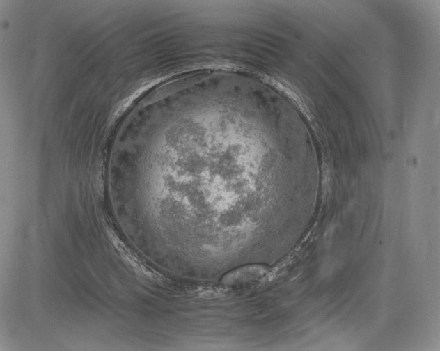 X0000081310345200701251748