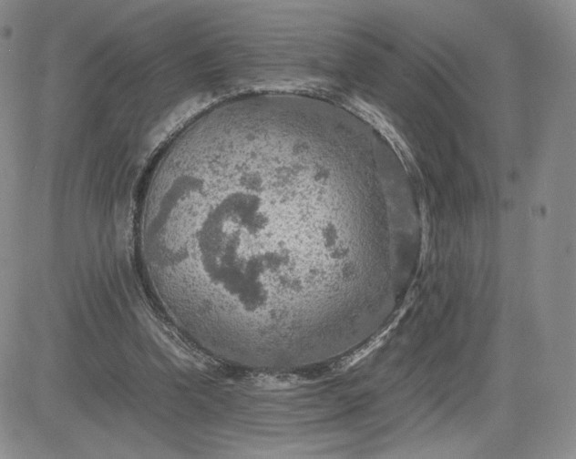 X0000081310346200701251748