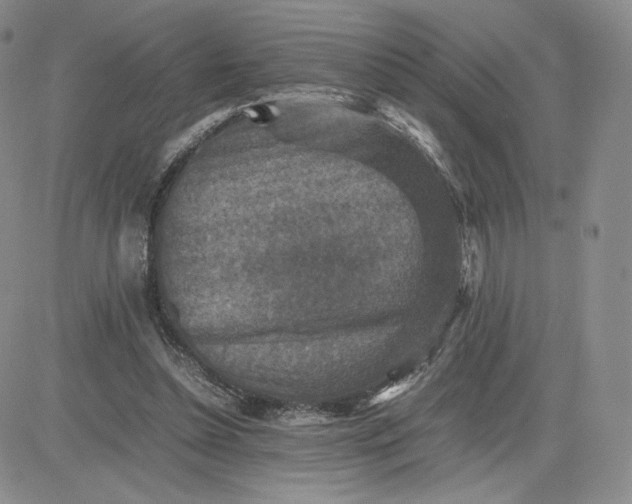 X0000081310348200701251748