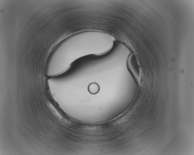 X0000081310349200701251748