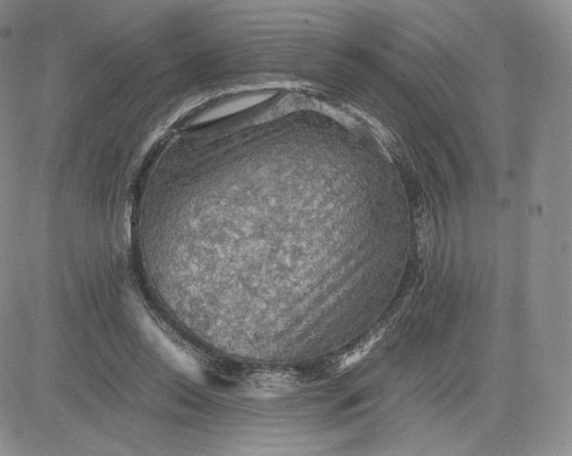 X0000081310350200701251748