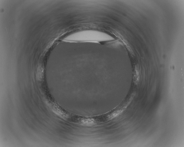 X0000081310355200701251748