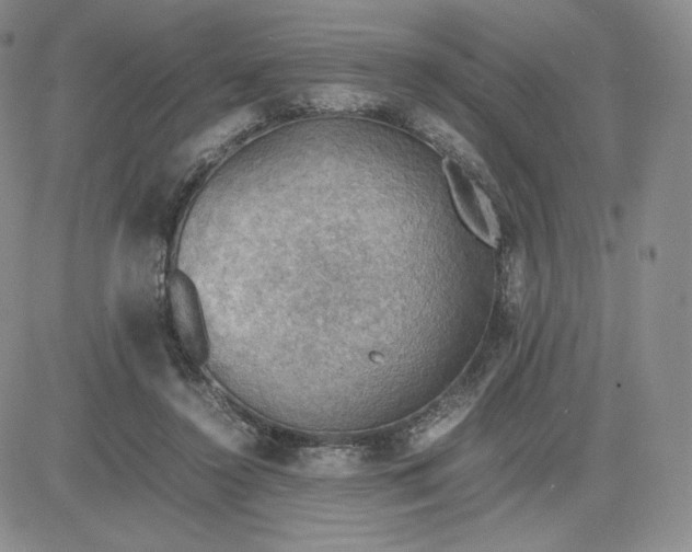 X0000081310356200701251748