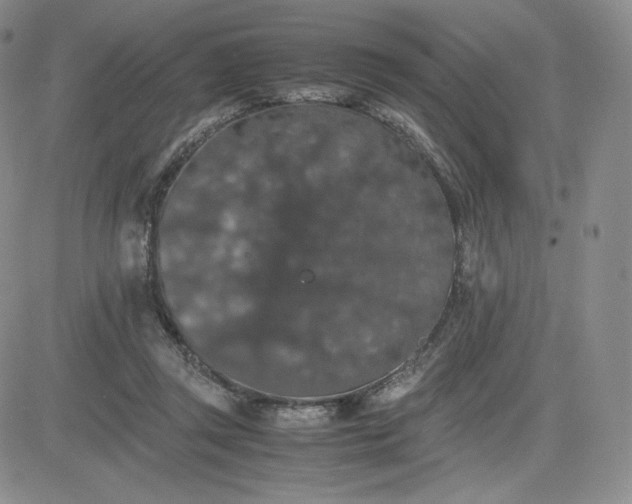 X0000081310357200701251749