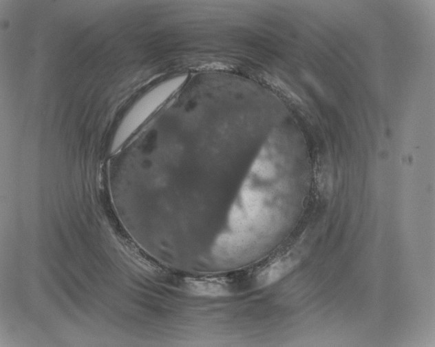 X0000081310359200701251749