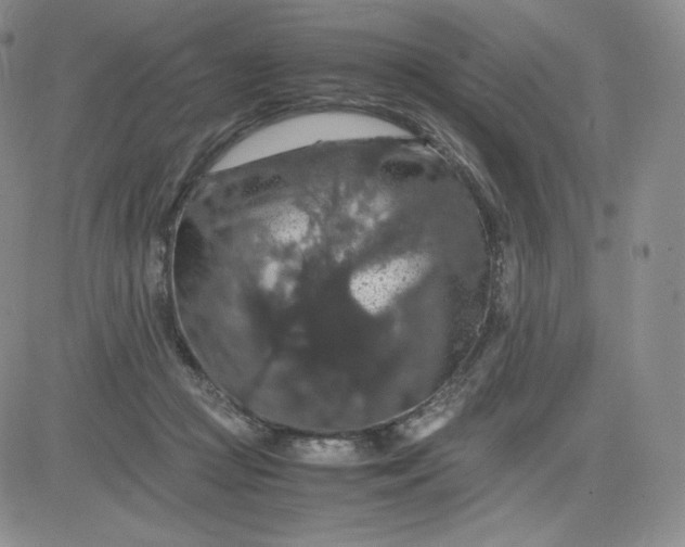 X0000081310361200701251749