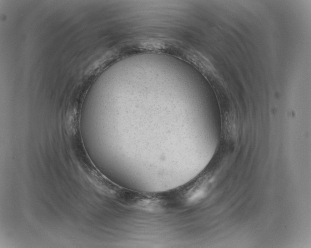 X0000081310364200701251749