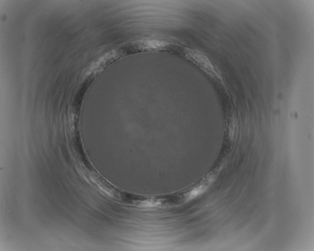 X0000081310366200701251749