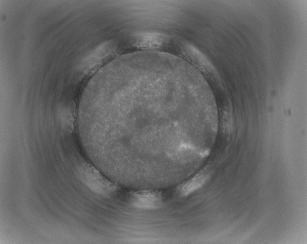 X0000081310370200701251749