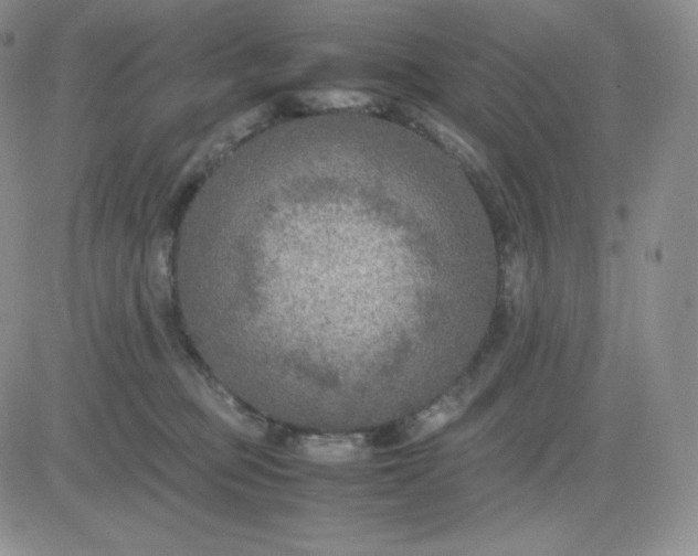 X0000081310373200701251749