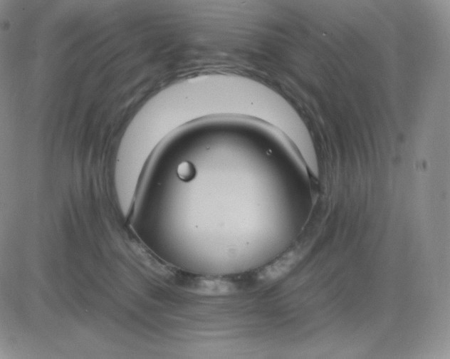 X0000081310376200701251749