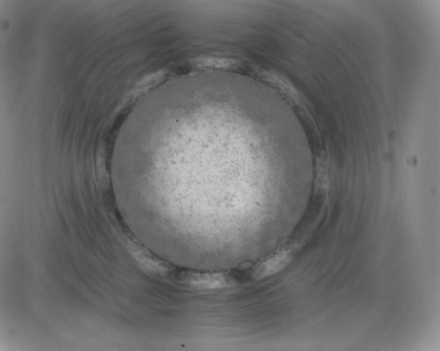 X0000081310377200701251749