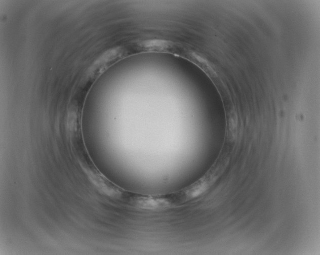 X0000081310379200701251749