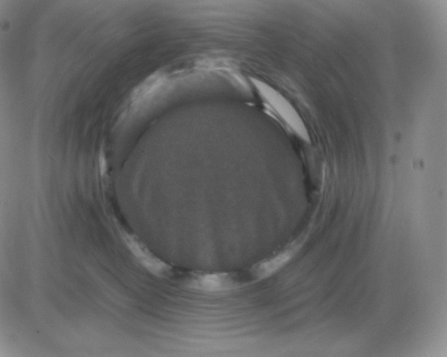 X0000081310382200701251749