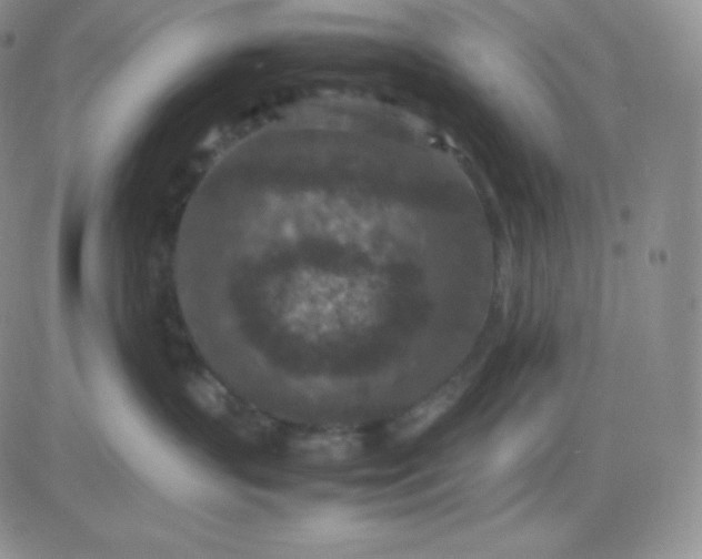 X0000081310383200701251749