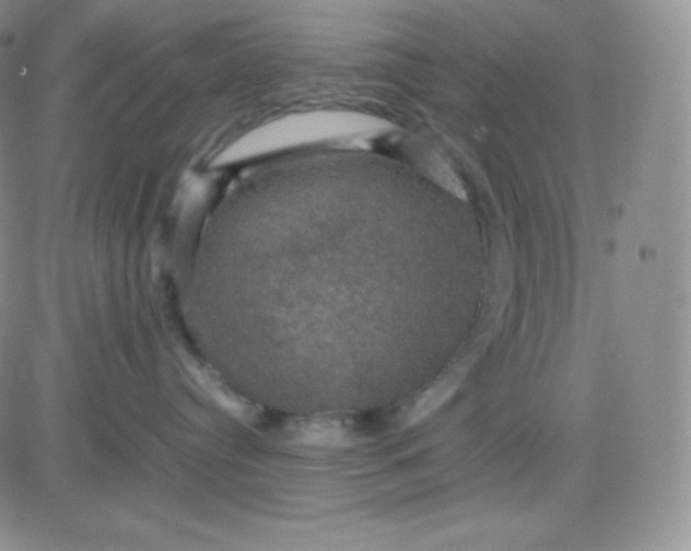 X0000081310384200701251749