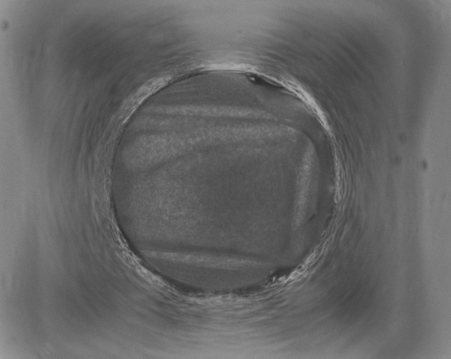 X0000081310385200701251748