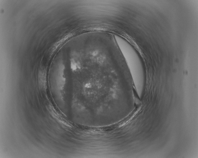 X0000081310386200701251748