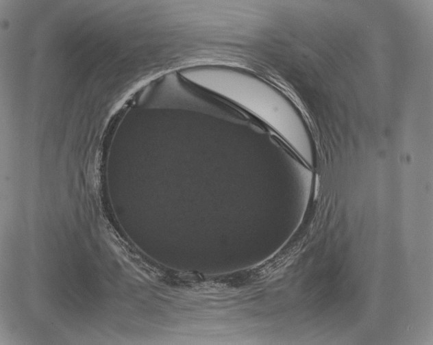 X0000081310387200701251748