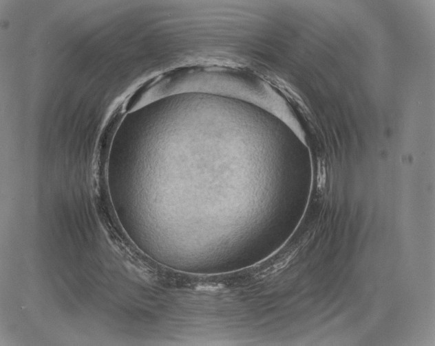 X0000081310388200701251748