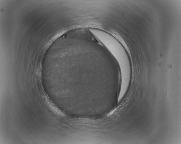 X0000081310389200701251748