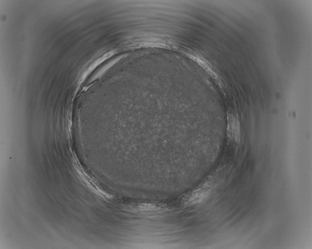 X0000081310390200701251748