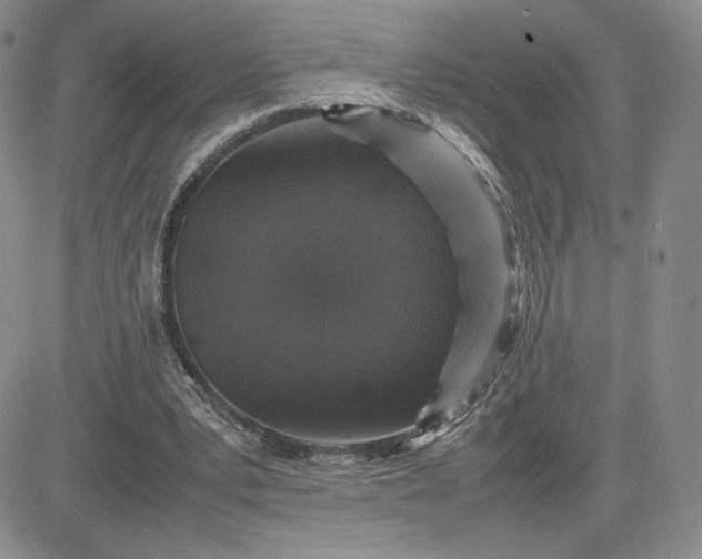 X0000081310391200701251748