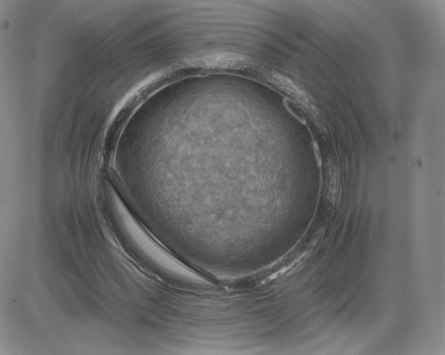 X0000081310392200701251748