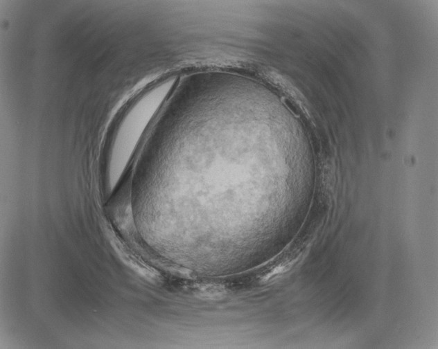 X0000081310395200701251748