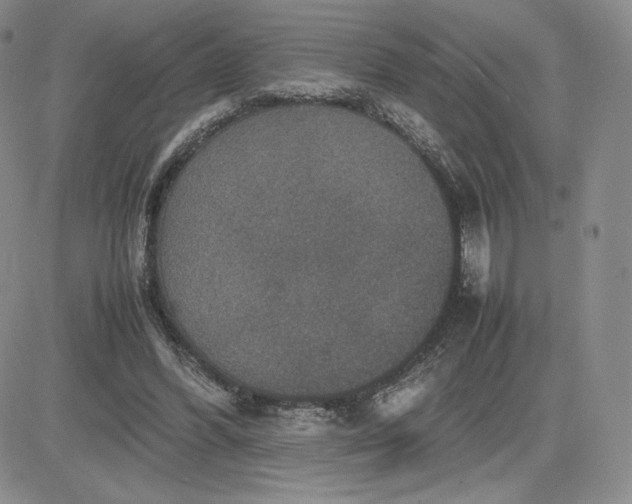 X0000081310396200701251748