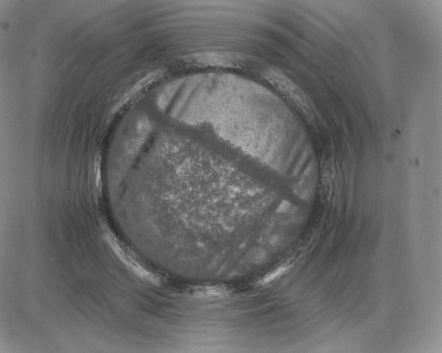 X0000081310398200701251748