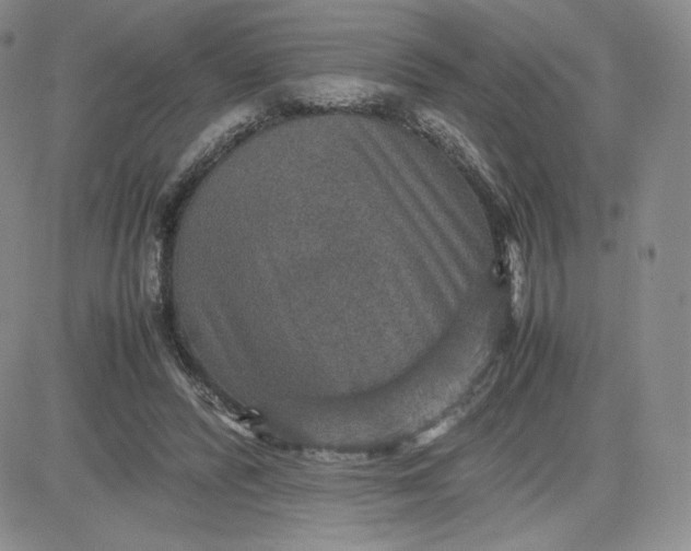 X0000081310400200701251748