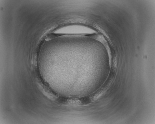 X0000081310403200701251748