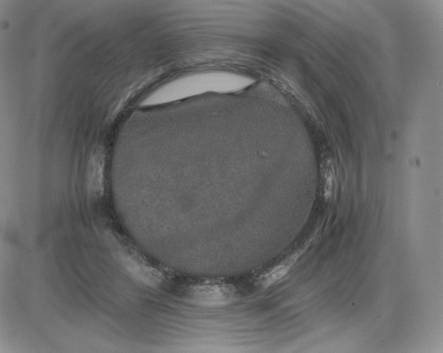 X0000081310404200701251748