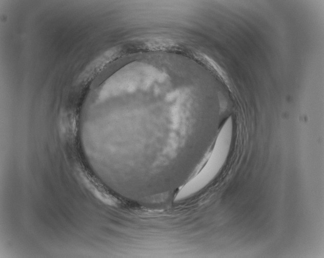 X0000081310405200701251748