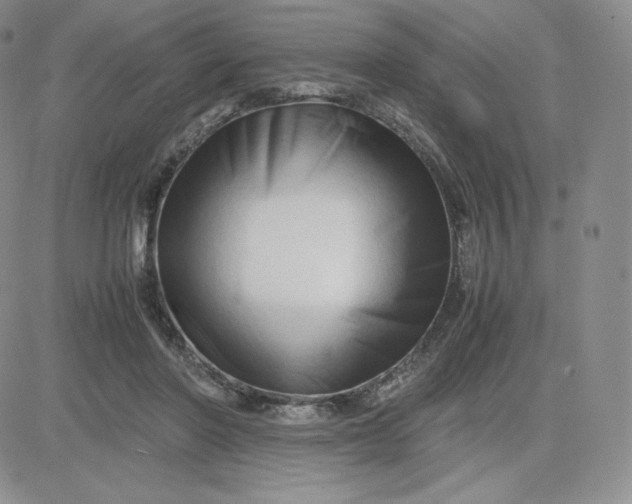 X0000081310406200701251748