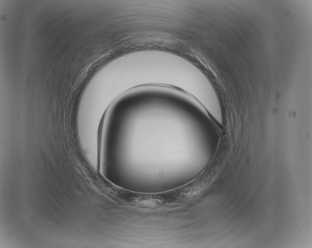 X0000081310407200701251748