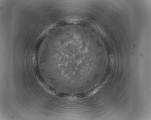 X0000081310408200701251748