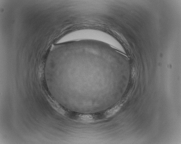 X0000081310409200701251748